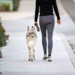 donna passeggia col suo cane